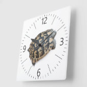 亀 スクエア壁時計 (傾斜)
