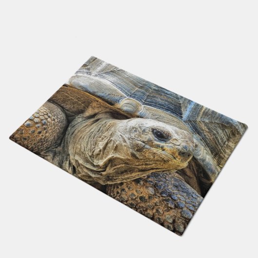 亀 ドアマット (アングル)