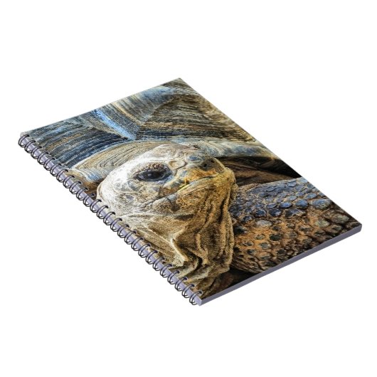 亀 ノートブック (右側)