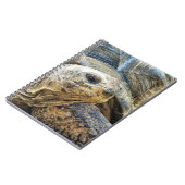 亀 ノートブック (左側)