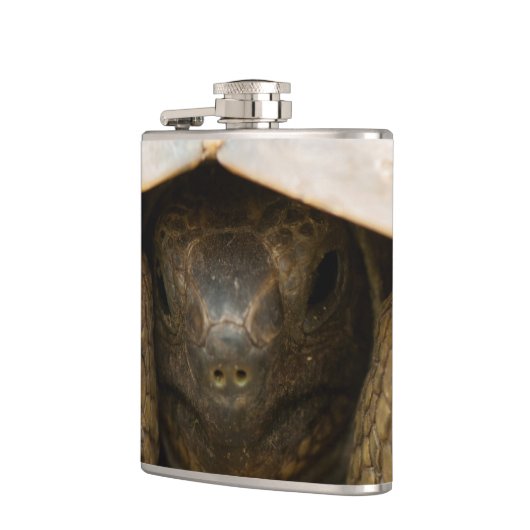 亀 フラスク (左)