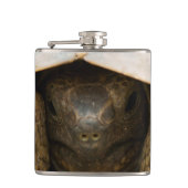 亀 フラスク (正面)