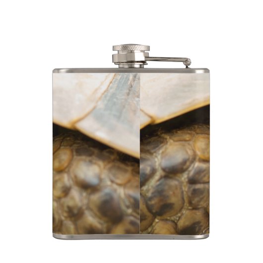 亀 フラスク (裏面)