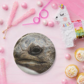 亀 ペーパープレート (パーティー)