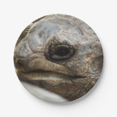 亀 ペーパープレート (正面)