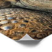 亀 ポスター (角)