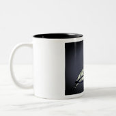 亀、レギング ツートーンマグカップ (左)