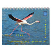 予定表 カレンダー (カバー)