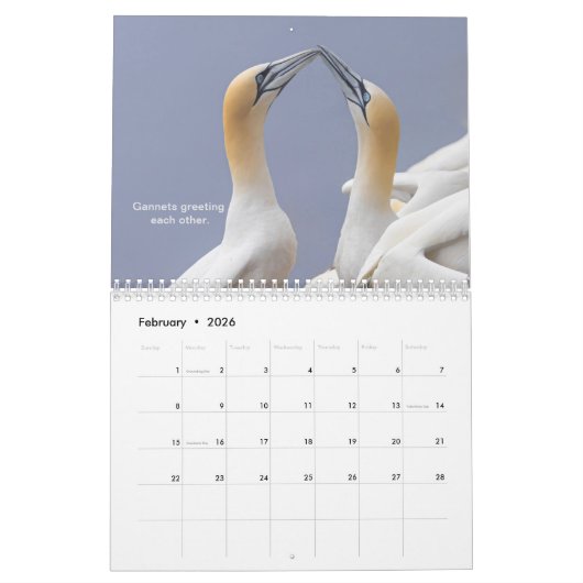 予定表 カレンダー (2月 2026)