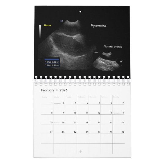 予定表 カレンダー (2月 2026)