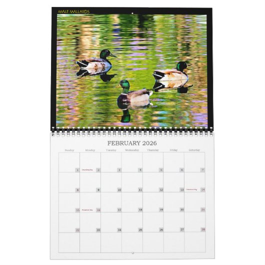 予定表 カレンダー (2月 2026)