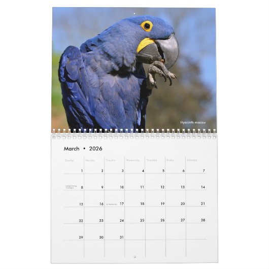 予定表 カレンダー (3月 2026)