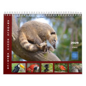 予定表 カレンダー (カバー)