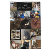 予定表 カレンダー (カバー)