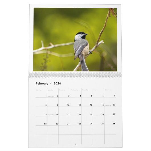 予定表 カレンダー (2月 2026)