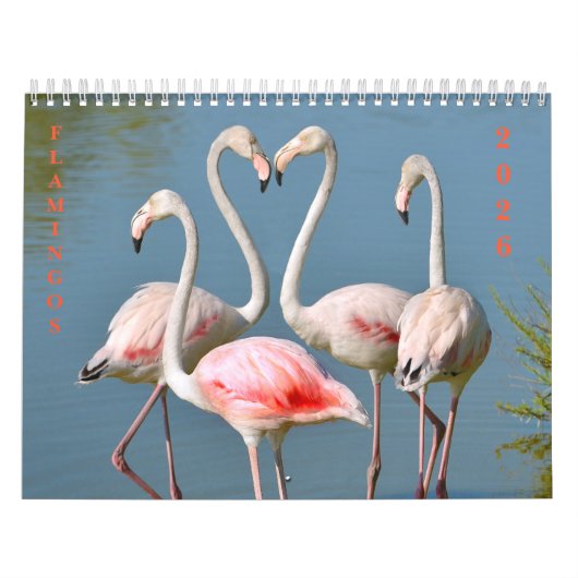 予定表 カレンダー (カバー)