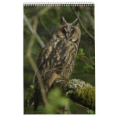 予定表 カレンダー (カバー)