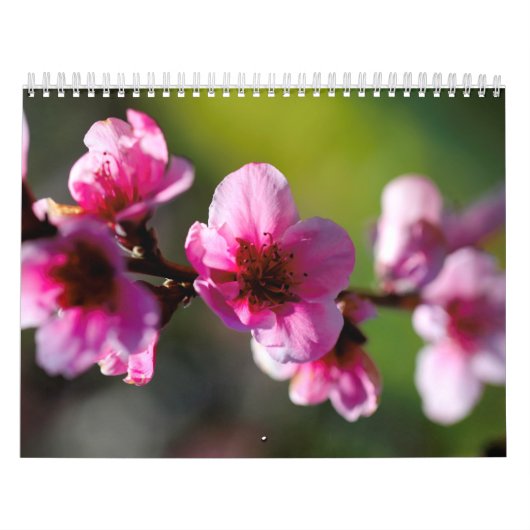 予定表 カレンダー (カバー)