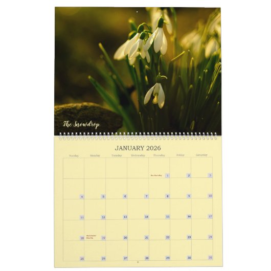 予定表 カレンダー (1月 2026)