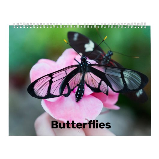 予定表 カレンダー (カバー)