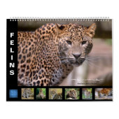 予定表 カレンダー (カバー)