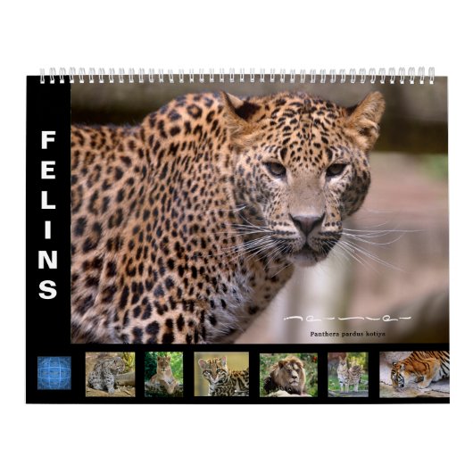 予定表 カレンダー (カバー)