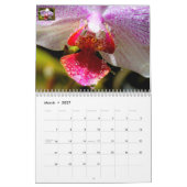 予定表 カレンダー (3月 2027)