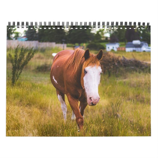 予定表 カレンダー (カバー)