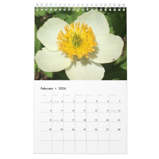 予定表 カレンダー (2月 2026)