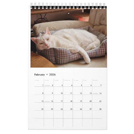 予定表 カレンダー (2月 2026)