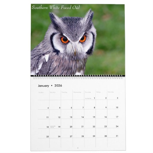 予定表 カレンダー (1月 2026)