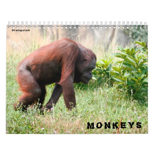 予定表 カレンダー (カバー)