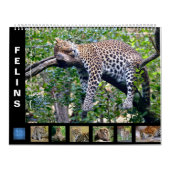 予定表 カレンダー (カバー)