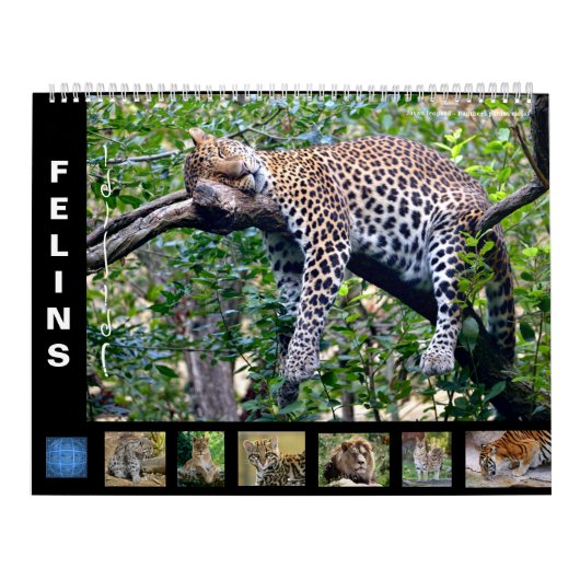 予定表 カレンダー (カバー)