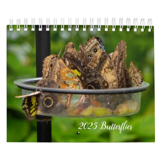 予定表 カレンダー (カバー)