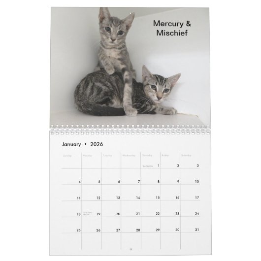 予定表 カレンダー (1月 2026)