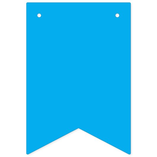 予定表 バンティングフラッグ (第2の旗)