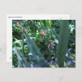 予想外のことを期待する ポストカード (正面/裏面)