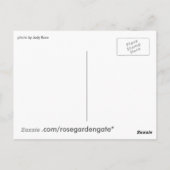 予想外のことを期待する ポストカード (裏面)