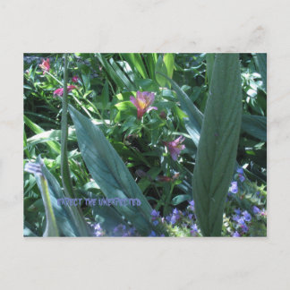 予想外のことを期待する ポストカード