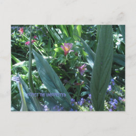 予想外のことを期待する ポストカード