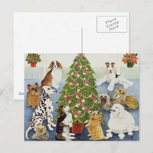 予想 シーズンポストカード (正面/裏面)