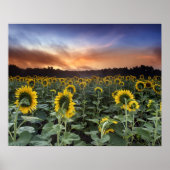 予想 ポスター (正面)