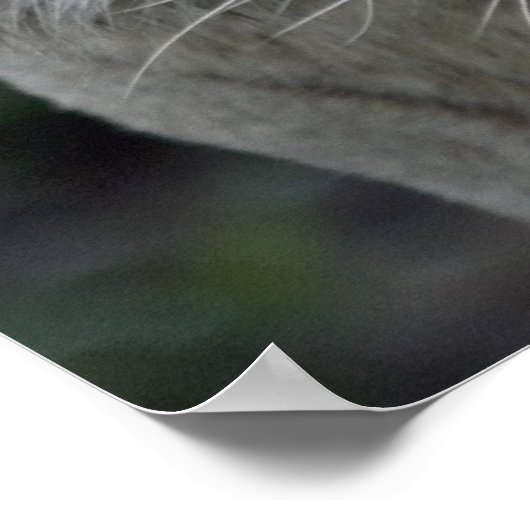 予想 ポスター (角)