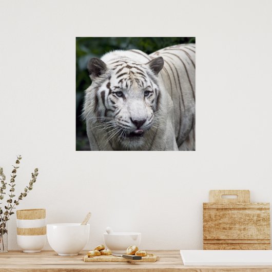 予想 ポスター (キッチン)