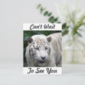 予想 ポストカード (スタンド正面)