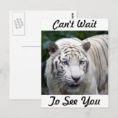 予想 ポストカード (正面/裏面)