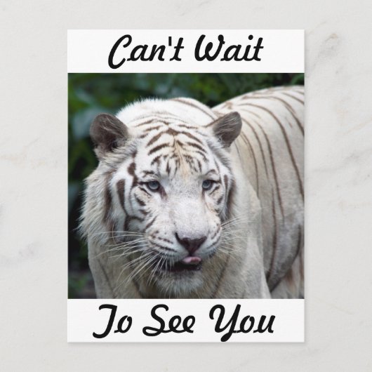 予想 ポストカード (正面)