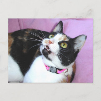 予想 ポストカード