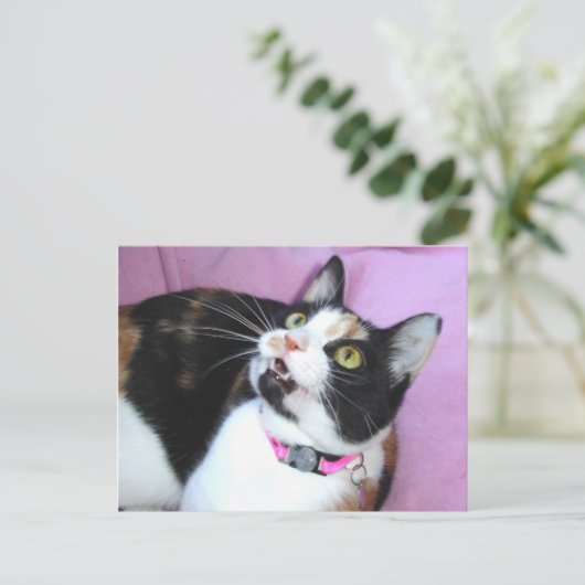 予想 ポストカード (スタンド正面)